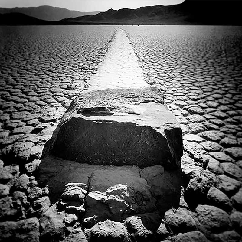 SEES - In and Between